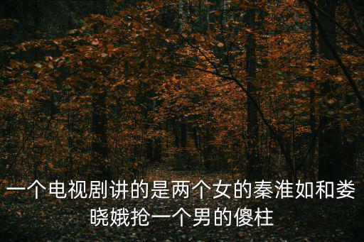 一個電視劇講的是兩個女的秦淮如和婁曉娥搶一個男的傻柱