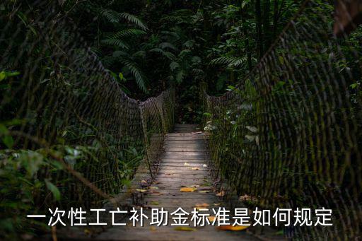 一次性工亡補助金標準是如何規定