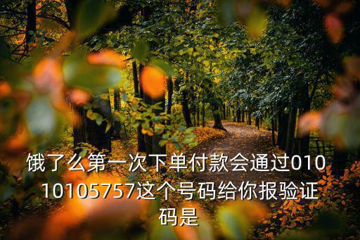 10105757，餓了么第一次下單付款會(huì)通過(guò)010 10105757這個(gè)號(hào)碼給你報(bào)驗(yàn)證碼是