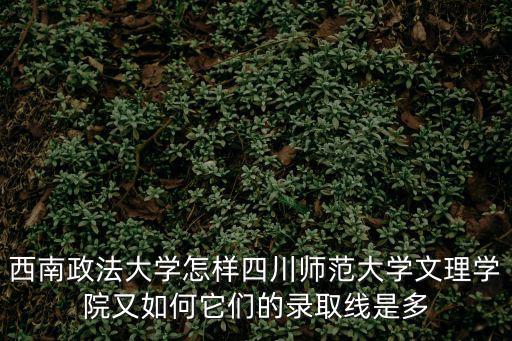 西南政法大學(xué)錄取分?jǐn)?shù)線，西南政法大學(xué)怎樣四川師范大學(xué)文理學(xué)院又如何它們的錄取線是多
