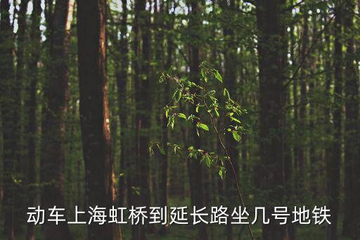 延長路，延長路99弄對口小學和中學