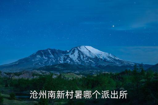 南新村，滄州南新村暑哪個派出所