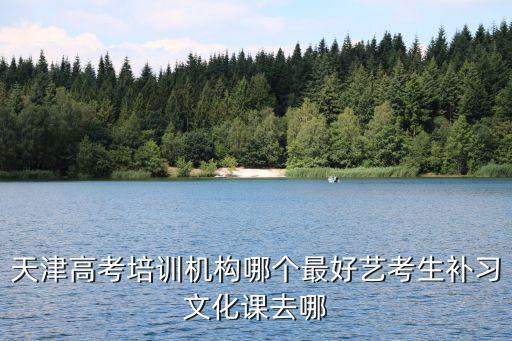 天津高考培訓機構哪個最好藝考生補習文化課去哪
