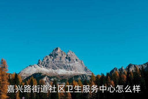 嘉興路街道社區衛生服務中心怎么樣
