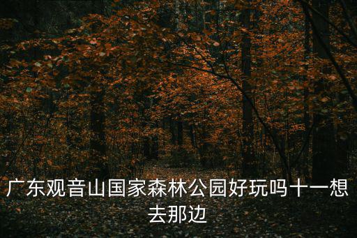 廣東觀音山國(guó)家森林公園好玩嗎十一想去那邊