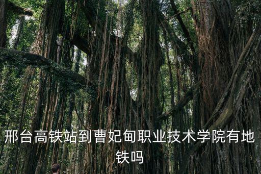 邢臺高鐵站到曹妃甸職業技術學院有地鐵嗎