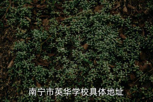 英華學校，南寧市英華學校具體地址