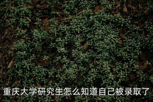 重慶大學研招網，重慶大學研招辦的電話是多少