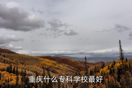 重慶什么專科學校最好