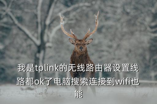 我是tplink的無線路由器設置線路都ok了電腦搜索連接到wifi也能