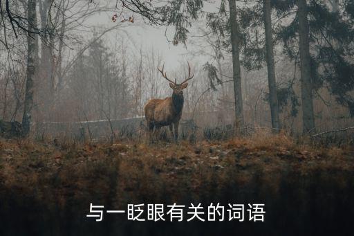 與一眨眼有關的詞語
