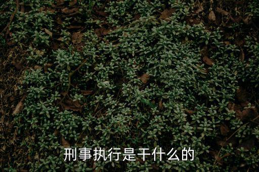 刑事執行是干什么的