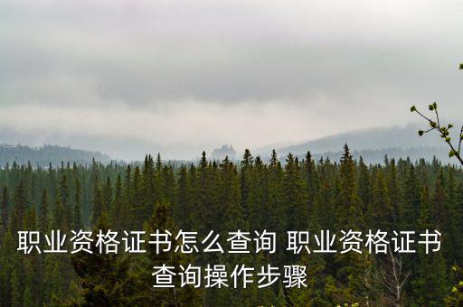 職業資格證查詢，國家職業 資格證查詢