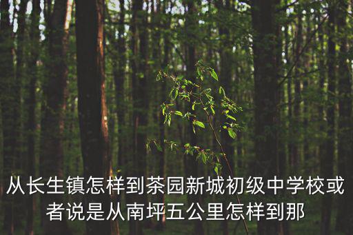 從長生鎮怎樣到茶園新城初級中學校或者說是從南坪五公里怎樣到那