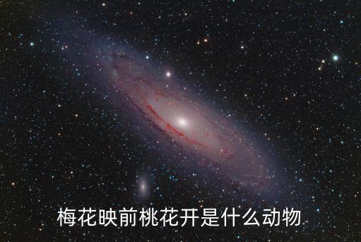 梅花映前桃花開是什么動物