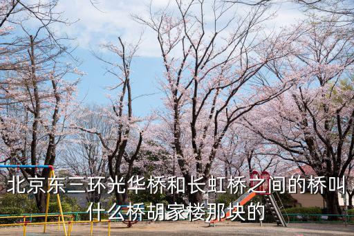 北京東三環光華橋和長虹橋之間的橋叫什么橋胡家樓那塊的