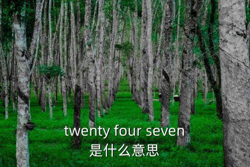 twenty four seven是什么意思