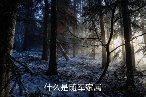 什么是隨軍家屬