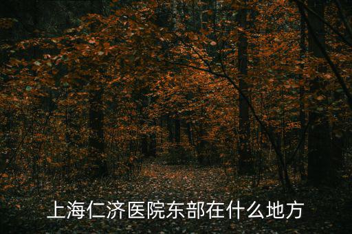 上海仁濟醫院東部在什么地方