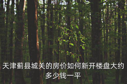 薊州房價，薊縣二手房均價大概多少