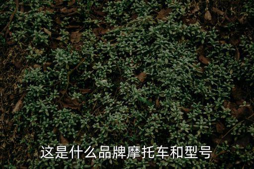 這是什么品牌摩托車和型號