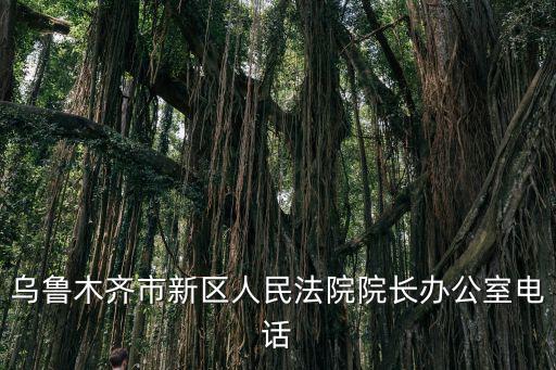 烏魯木齊市新區(qū)人民法院院長(zhǎng)辦公室電話