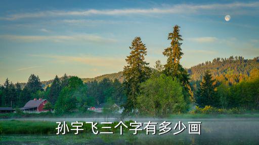 孫宇飛，孫宇飛三個字有多少畫