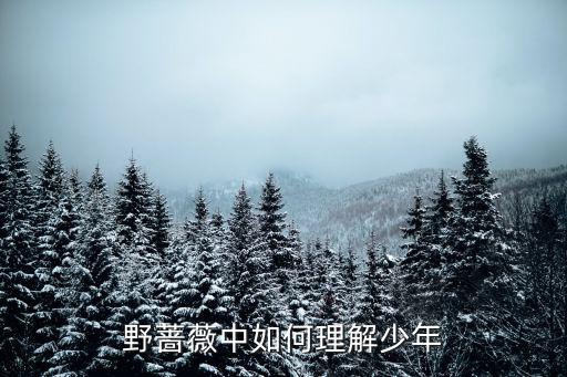 野薔薇中如何理解少年