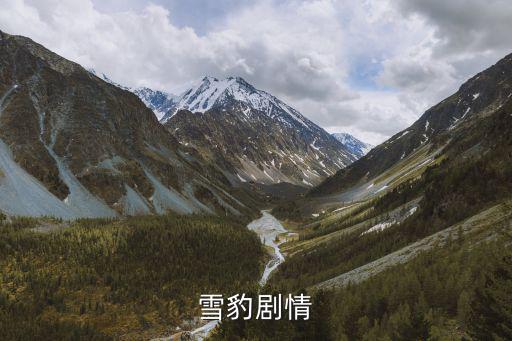 雪豹劇情