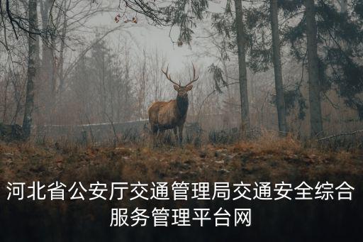 河北省公安廳交通管理局交通安全綜合服務(wù)管理平臺(tái)網(wǎng)