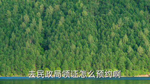 去民政局領證怎么預約啊