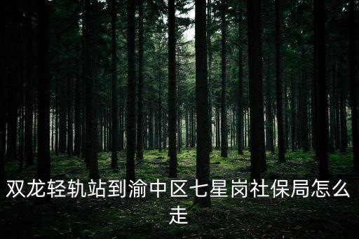 渝中區人力資源和社會保障局，重慶市渝中區社保局