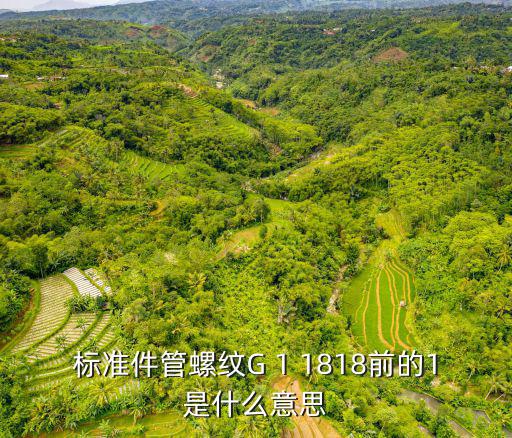 標準件管螺紋G 1 1818前的1是什么意思