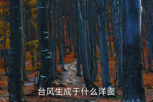 臺(tái)風(fēng)生成于什么洋面