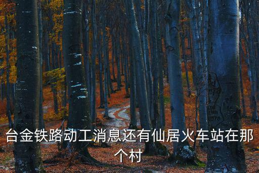 臺(tái)金鐵路，臺(tái)金鐵路動(dòng)工消息還有仙居火車站在那個(gè)村