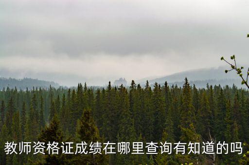 教師資格證成績在哪里查詢有知道的嗎