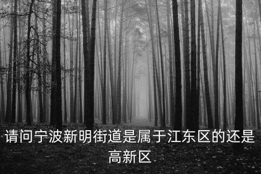 請問寧波新明街道是屬于江東區的還是高新區