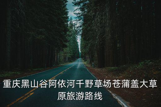 重慶黑山谷阿依河千野草場蒼蒲蓋大草原旅游路線