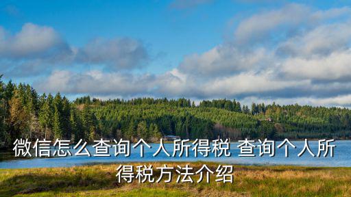 微信怎么查詢個人所得稅 查詢個人所得稅方法介紹