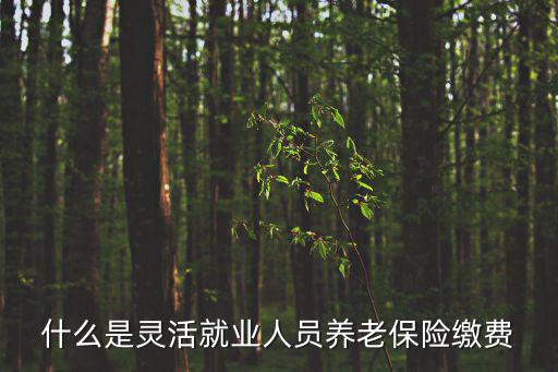 什么是靈活就業(yè)人員養(yǎng)老保險(xiǎn)繳費(fèi)