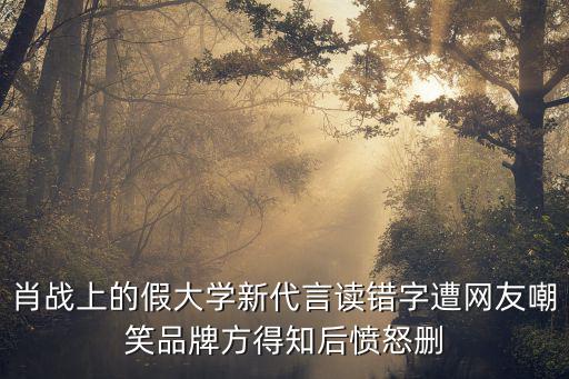 肖戰(zhàn)上的假大學(xué)新代言讀錯字遭網(wǎng)友嘲笑品牌方得知后憤怒刪