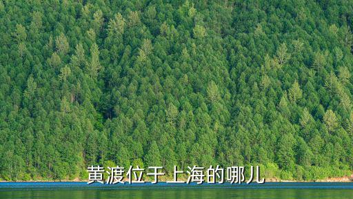 黃渡位于上海的哪兒