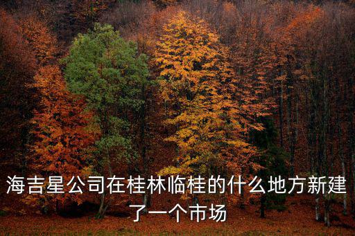 海吉星公司在桂林臨桂的什么地方新建了一個市場