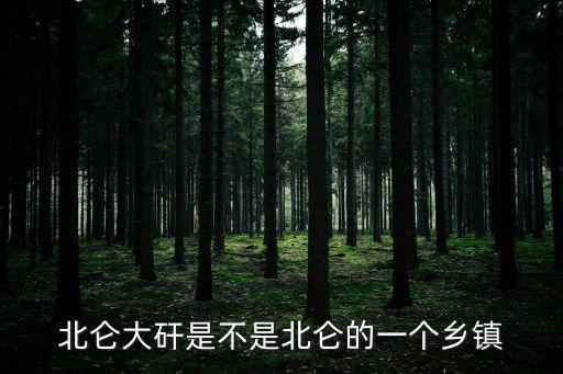 大碶街道，北侖大矸是不是北侖的一個鄉鎮