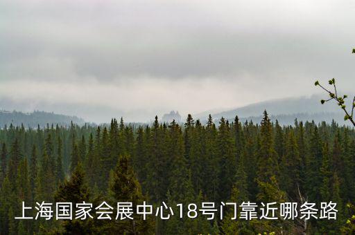 國(guó)家會(huì)展中心，上海國(guó)家會(huì)展中心18號(hào)門(mén)靠近哪條路