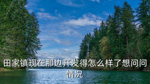 田家鎮現在那邊開發得怎么樣了想問問情況