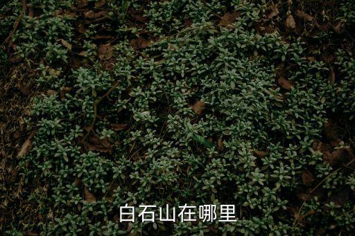 白石山在哪里