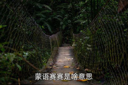 廉賽，什么是簡(jiǎn)樸賽