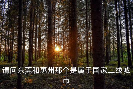請問東莞和惠州那個(gè)是屬于國家二線城市