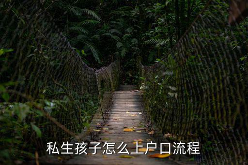 私生孩子怎么上戶口流程